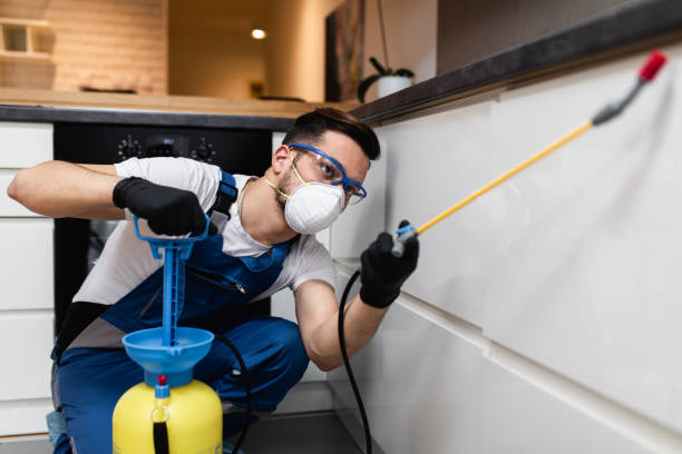 Best Bed Bug Extermination  in Crestwood, MO