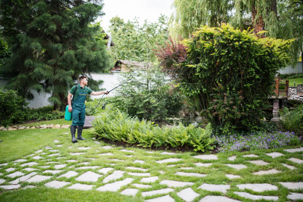 Wasp Removal Services in Crestwood, MO