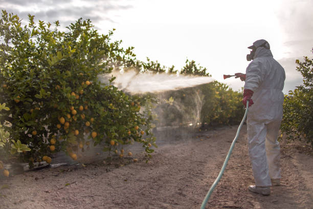 Wildlife Control Services in Crestwood, MO