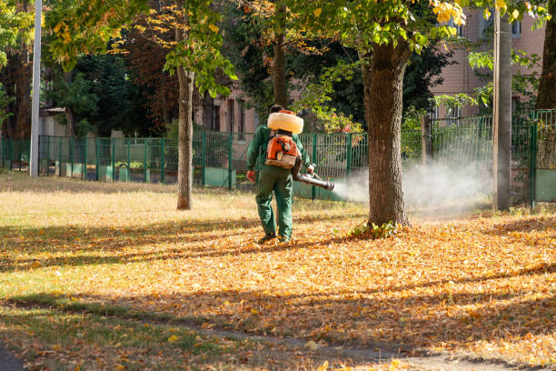 Best Mosquito Control Services  in Crestwood, MO