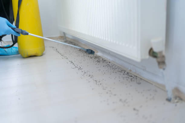 Best Bed Bug Extermination  in Crestwood, MO