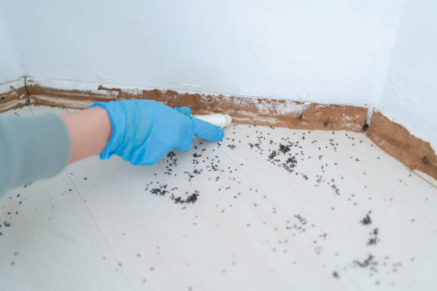 Best Pest Removal Services  in Crestwood, MO