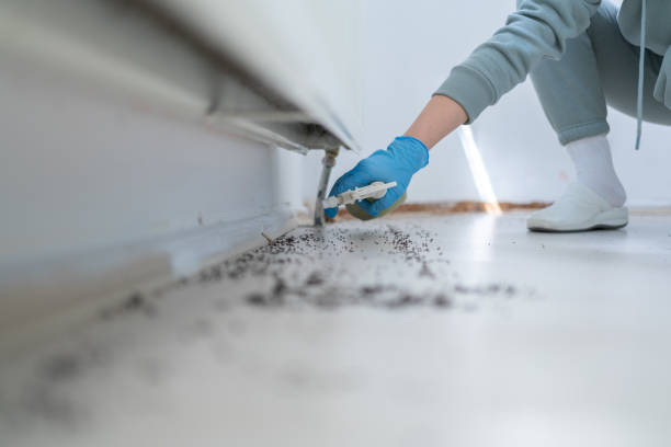 Pest Prevention Services in Crestwood, MO